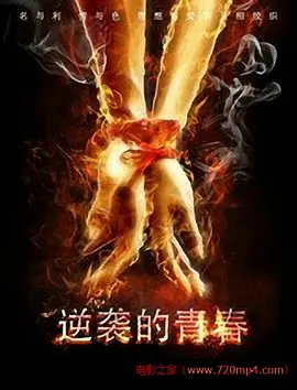 亚洲国产精品人久久电影