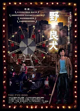 我可以稍微放进你里面吗校园版