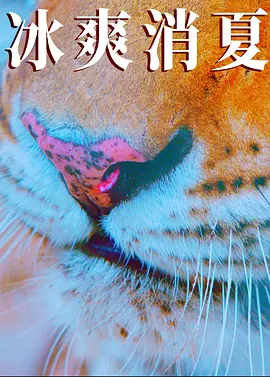 亚洲日韩精品无码中文字幕专区