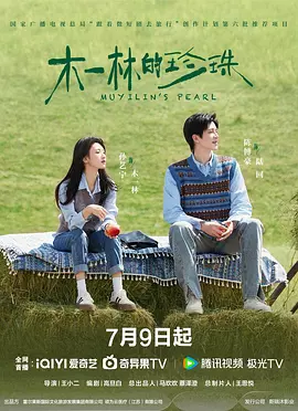 国内精品一级毛片免费看