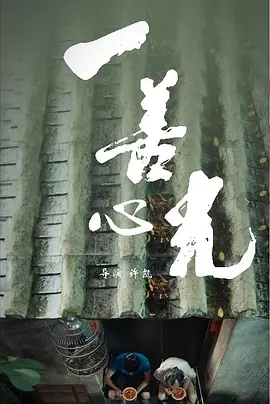 国产午夜视频在线观看