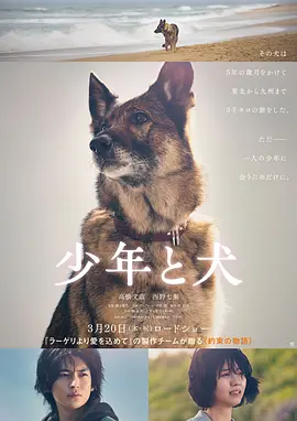 国产欧美在线观看不卡