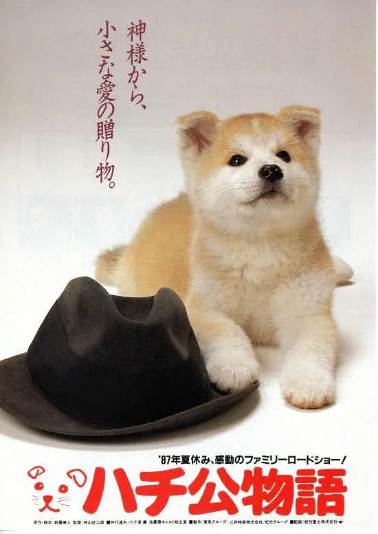 日韩在线精品强奸乱中文字幕