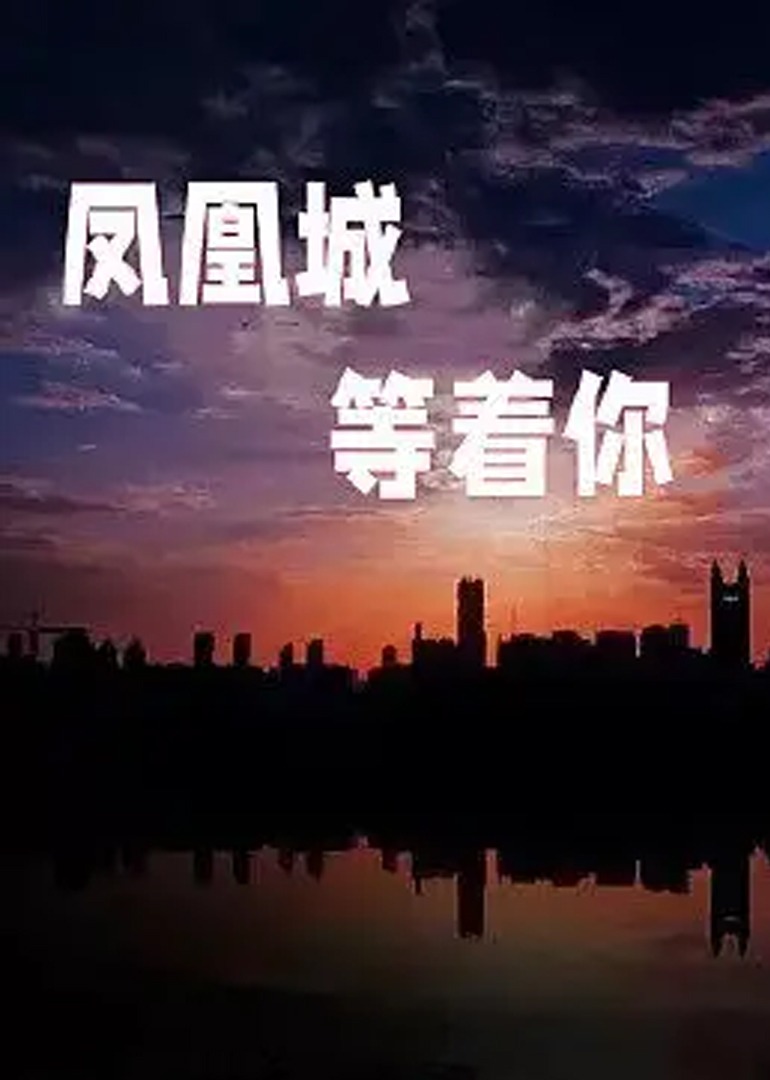 适合晚上观看的电影