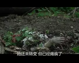 国产偷抇久久一级a片免费
