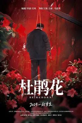 一区二区免费国