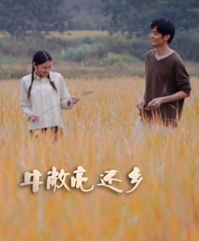 久草免费在线视频