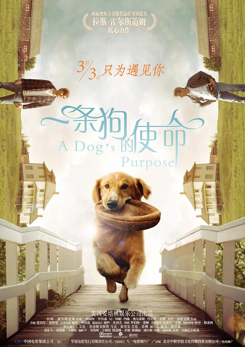 亚洲一区av成人片在线观看无码