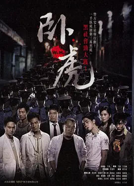 国产午夜精品久久久久